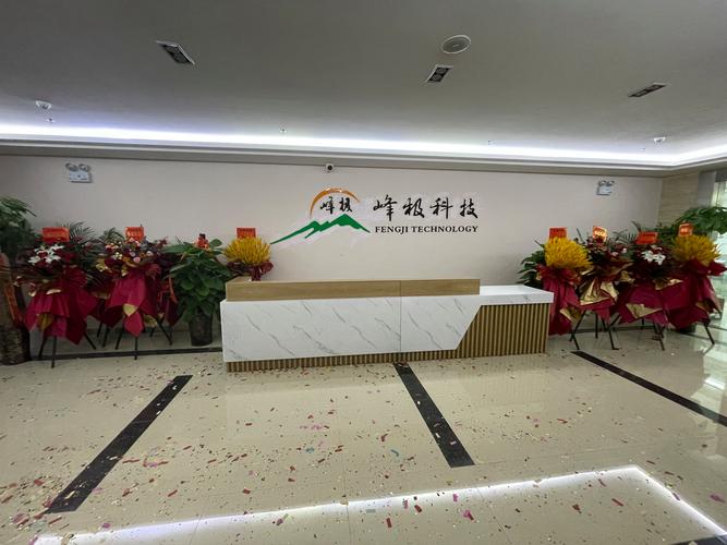 峰极未来科技