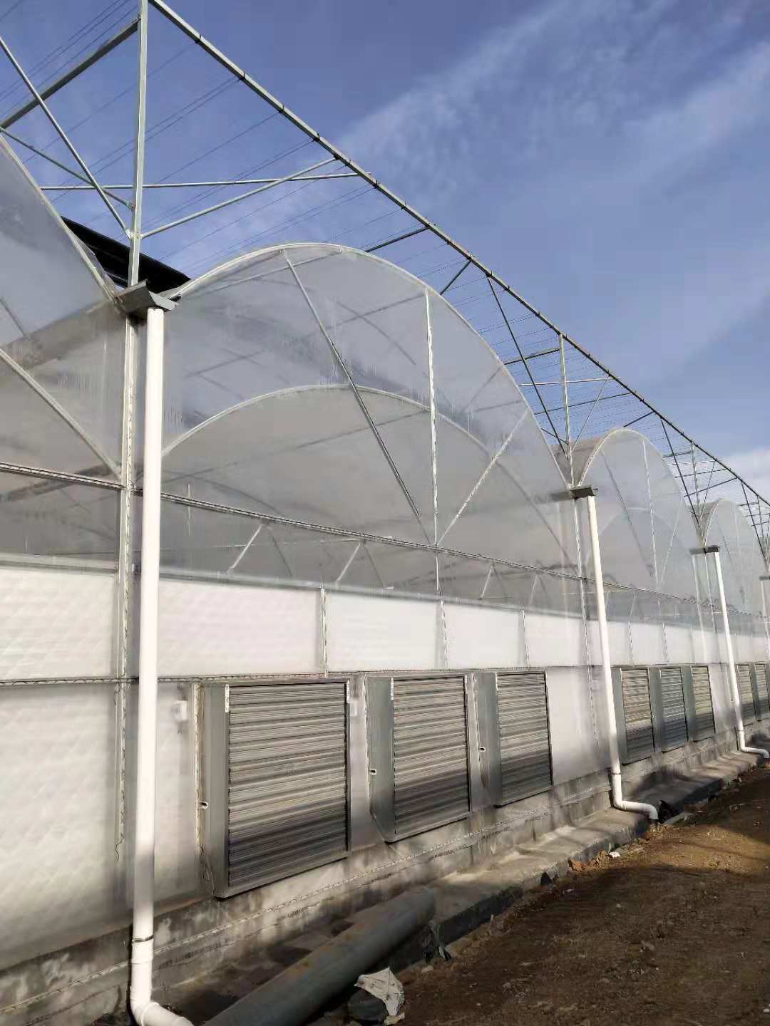 【温室大棚园区建设 农业园区设计咨询 园区图纸效果图设计 鑫泽农业温室温室、大棚